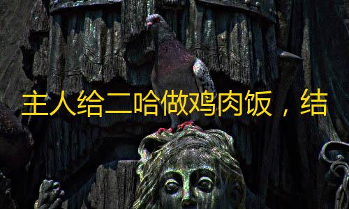 Google Compute Engine主人给二哈做鸡肉饭
�，结果它却等不及，狗：到底给不给吃啊